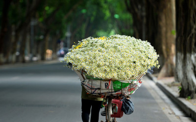 Những mùa hoa tháng 10