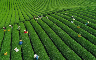 Những điểm đến tuyệt đẹp khi đi phượt Mộc Châu