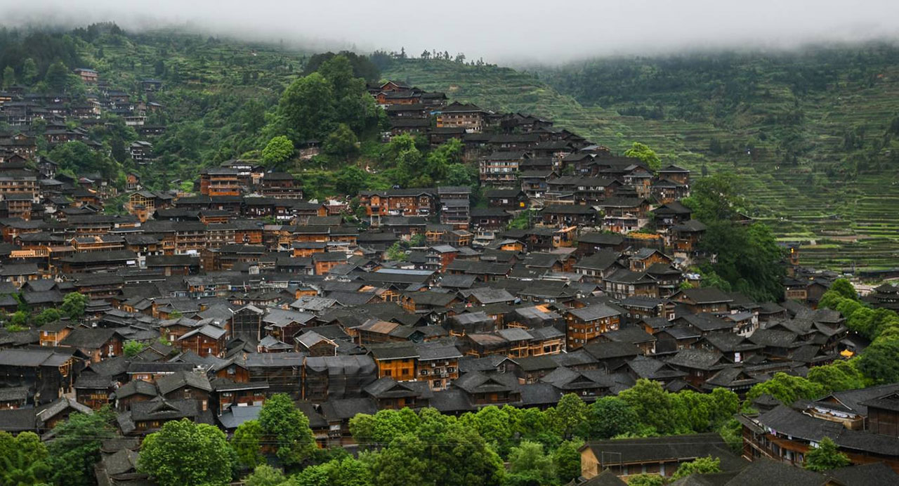 hinhanh