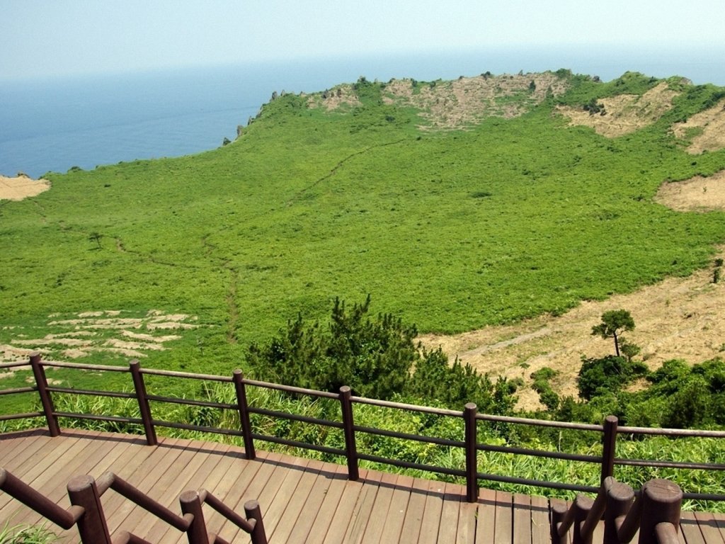 hinhanh