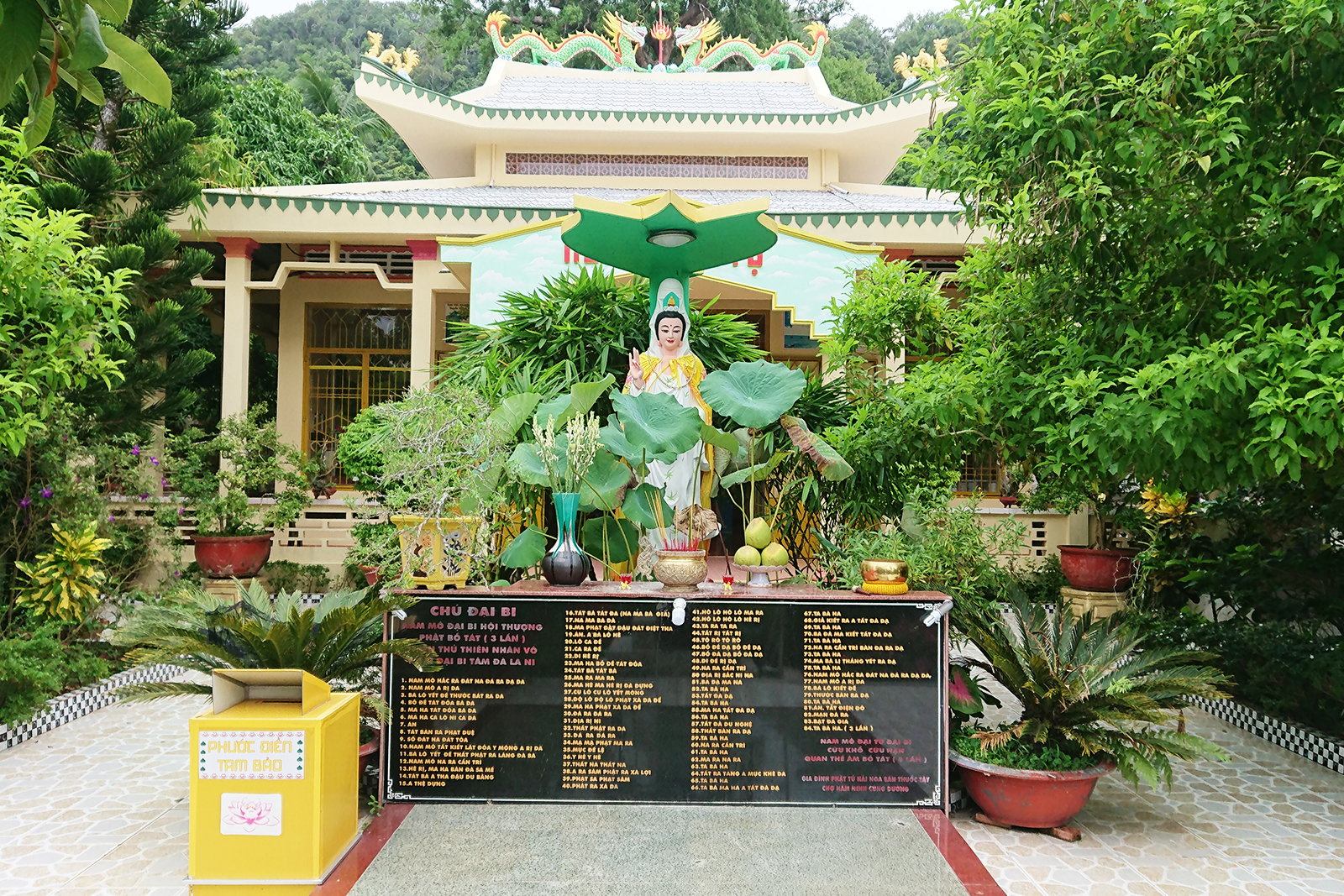 hinhanh