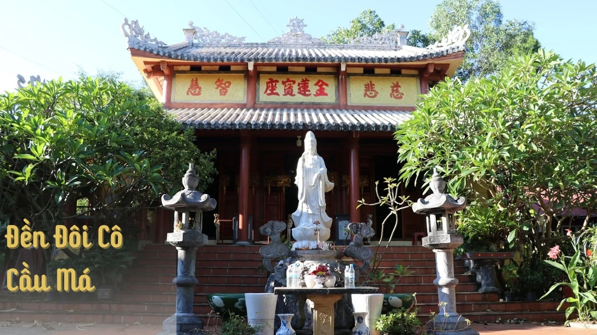 hinhanh