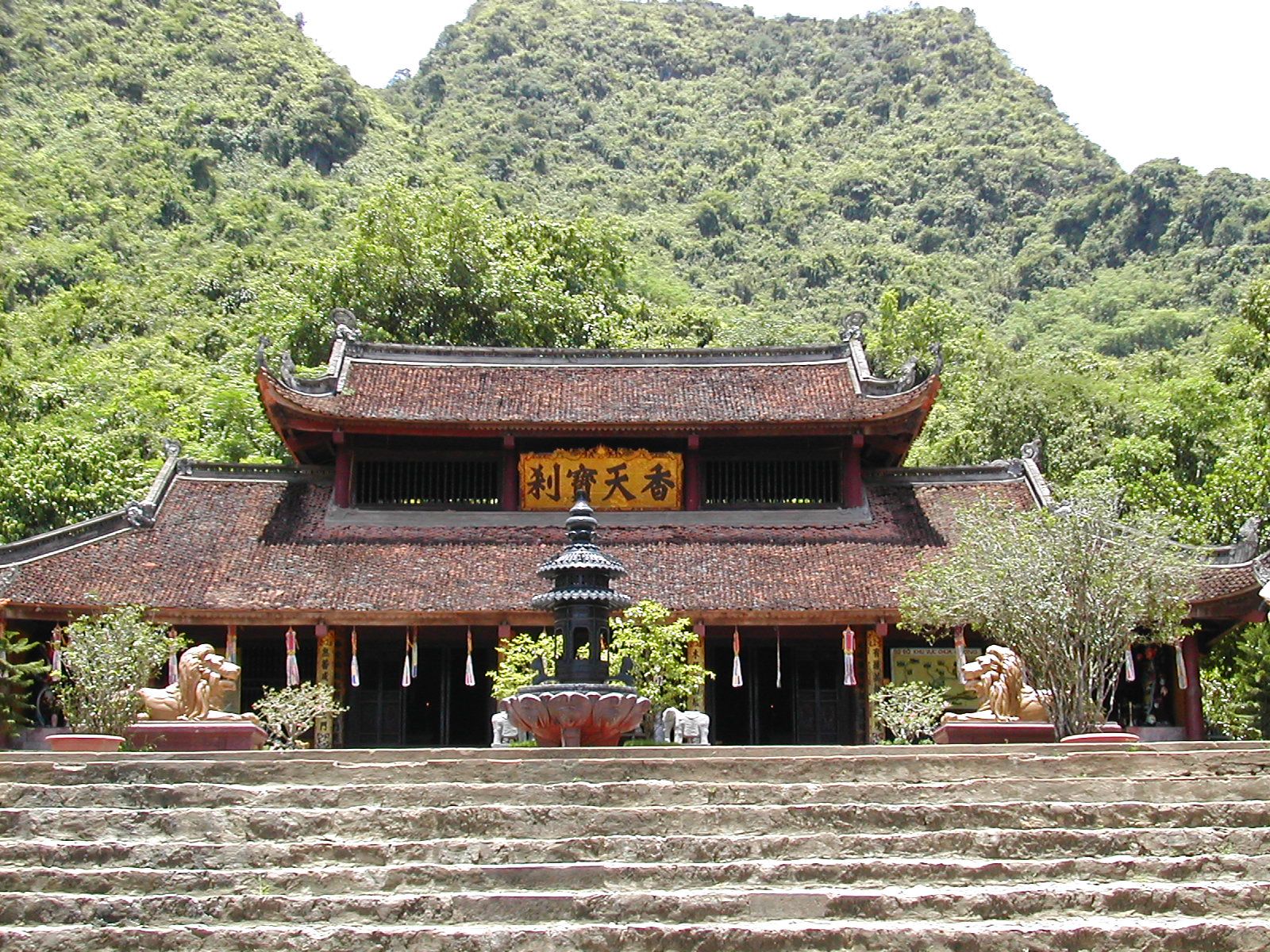 hinhanh