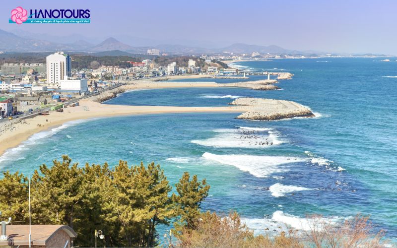 Xe bus và taxi là những phương tiện thông dụng khi đi du lịch Sokcho, Hàn Quốc