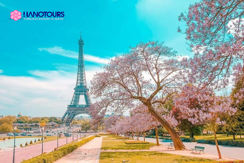  Mùa xuân tại Châu Âu là lúc hoa anh đào nở rộ